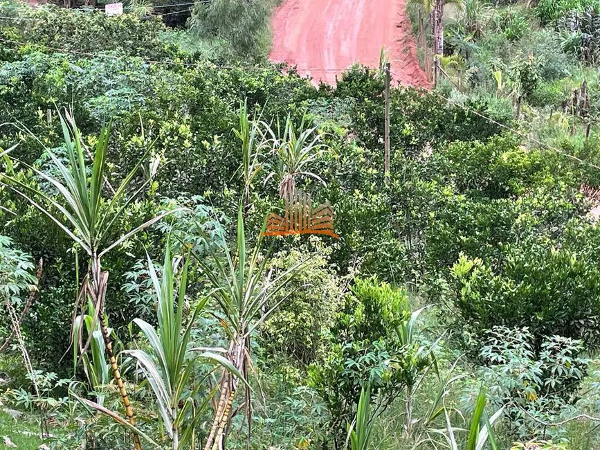 Chácara com 3 quartos à venda em Santa Leopoldina - ES - imagem 7 Foto 7 de Chácara com 3 quartos à venda em Santa Leopoldina - ES