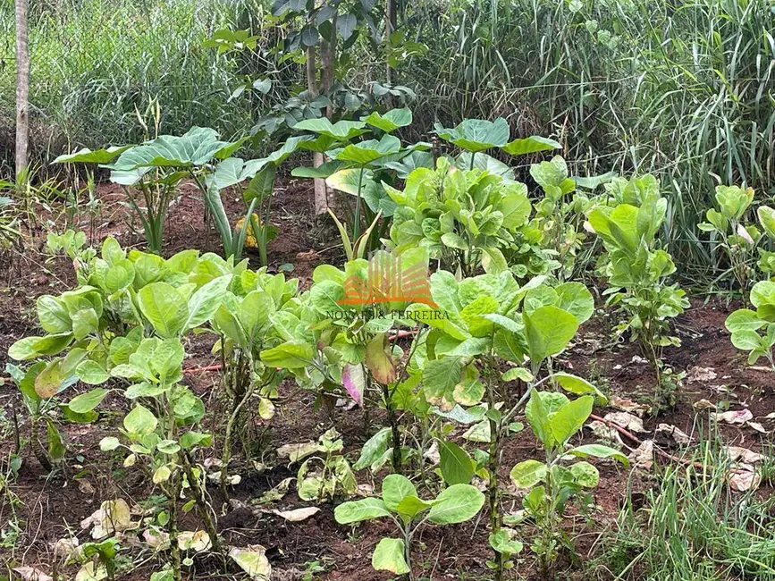 Chácara com 3 quartos à venda em Santa Leopoldina - ES - imagem 8 Foto 8 de Chácara com 3 quartos à venda em Santa Leopoldina - ES