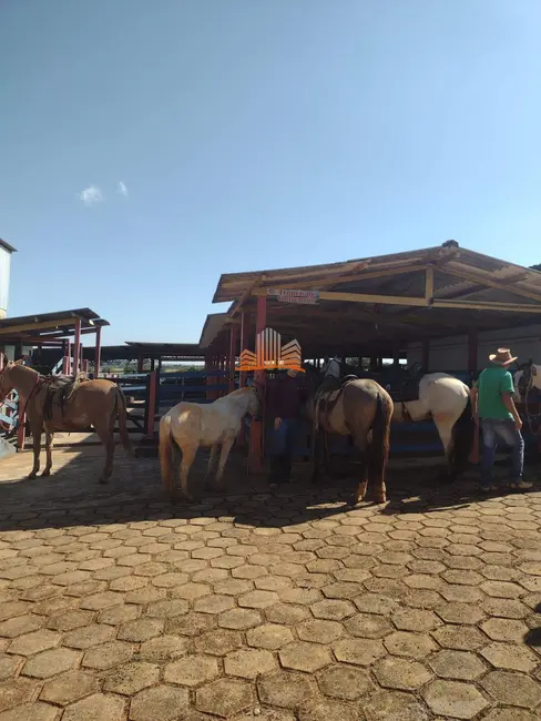Chácara com 3 quartos à venda, 66m2 em Bom Despacho - MG - imagem 6 Foto 6 de Chácara com 3 quartos à venda, 66m2 em Bom Despacho - MG
