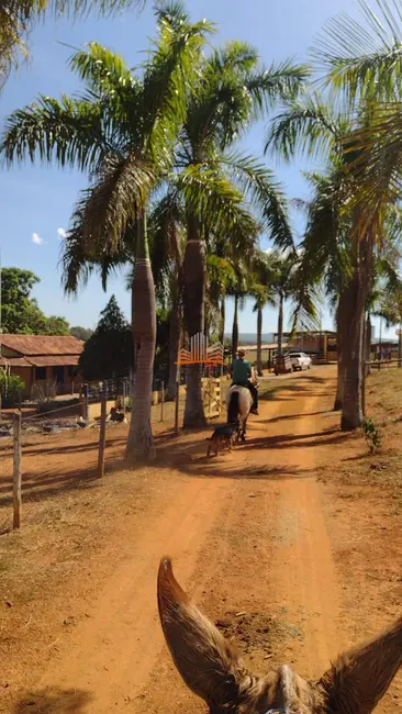 Chácara com 3 quartos à venda, 66m2 em Bom Despacho - MG - imagem 3 Foto 3 de Chácara com 3 quartos à venda, 66m2 em Bom Despacho - MG