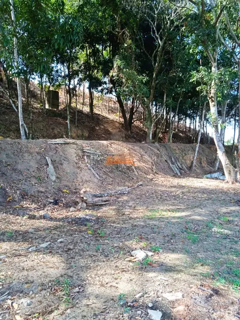 Foto 10 de Chácara à venda em Área Rural de Vila Velha, Vila Velha - ES