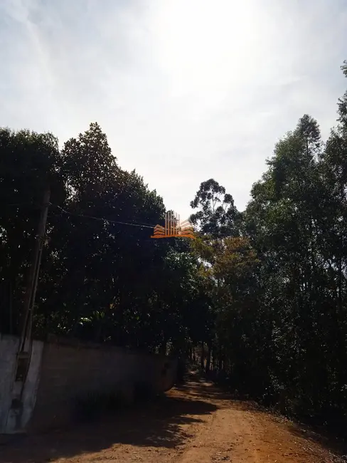 Foto 19 de Chácara à venda em Área Rural de Vila Velha, Vila Velha - ES