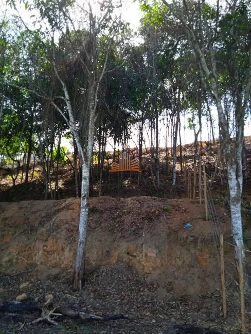 Chácara à venda em Área Rural de Vila Velha, Vila Velha - ES - imagem 9 Foto 9 de Chácara à venda em Área Rural de Vila Velha, Vila Velha - ES