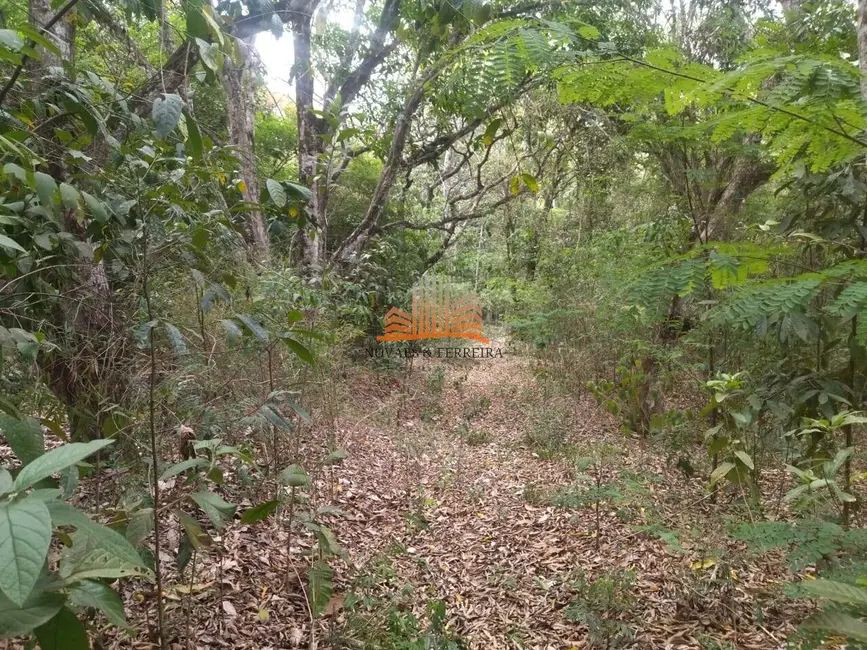 Chácara à venda, 4820m2 em Comunidade Urbana de Lagoa Dourada, Guarapari - ES - imagem 8 Foto 8 de Chácara à venda, 4820m2 em Comunidade Urbana de Lagoa Dourada, Guarapari - ES