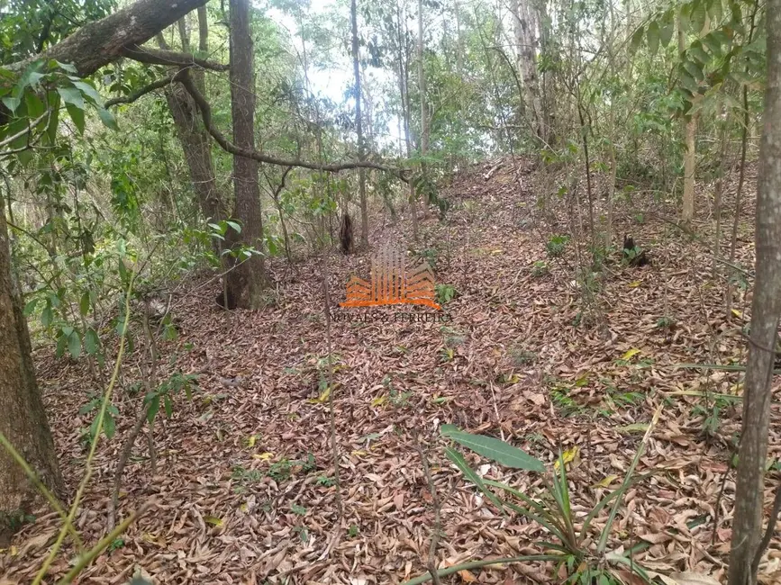 Foto 10 de Chácara à venda, 4820m2 em Comunidade Urbana de Lagoa Dourada, Guarapari - ES