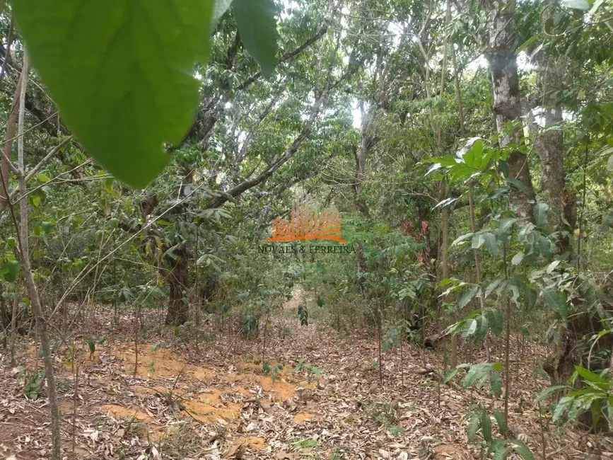 Chácara à venda, 4820m2 em Comunidade Urbana de Lagoa Dourada, Guarapari - ES - imagem 5 Foto 5 de Chácara à venda, 4820m2 em Comunidade Urbana de Lagoa Dourada, Guarapari - ES