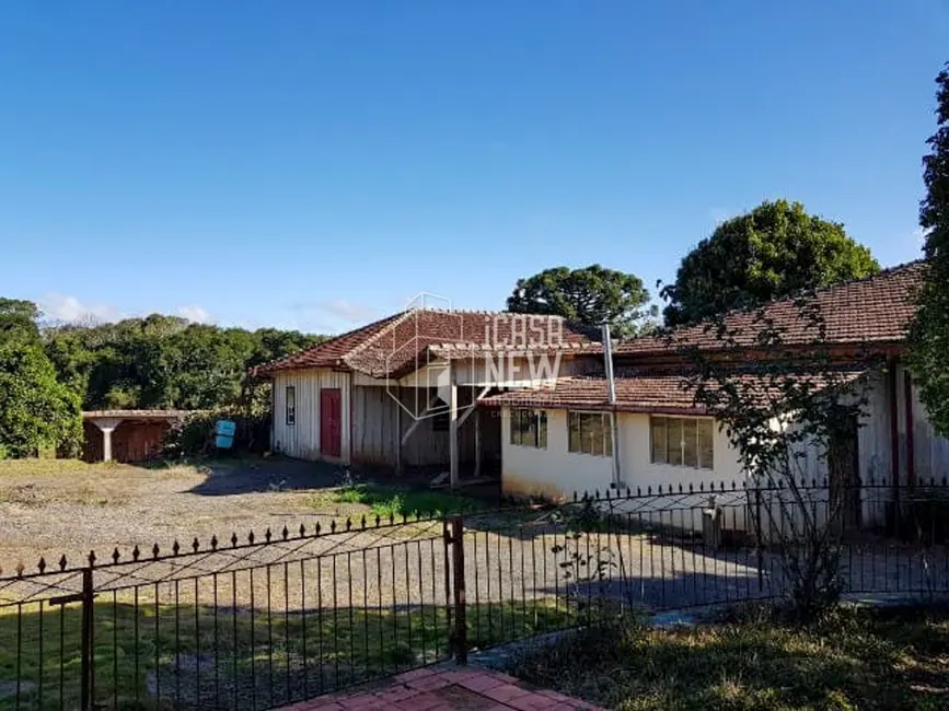 Chácara à venda, 2160m2 em Irati - PR - imagem 3 Foto 3 de Chácara à venda, 2160m2 em Irati - PR