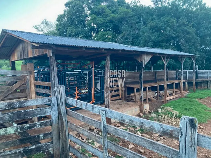 Foto 8 de Fazenda / Haras à venda, 90m2 em Goioxim - PR