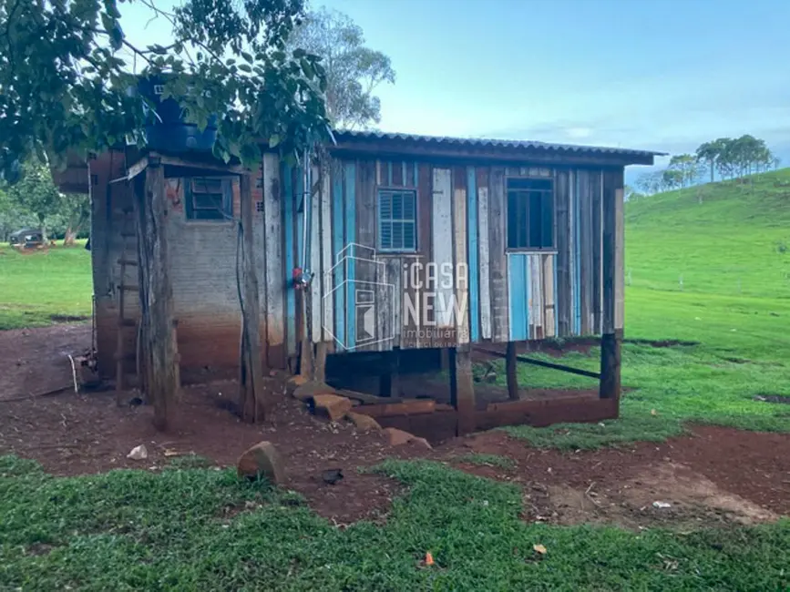 Foto 7 de Fazenda / Haras à venda, 90m2 em Goioxim - PR