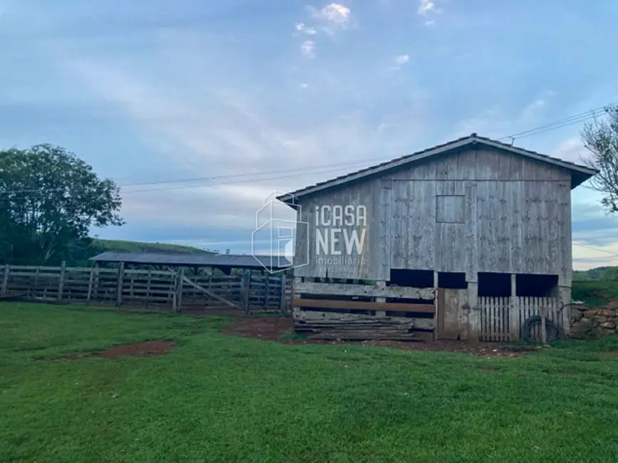 Foto 6 de Fazenda / Haras à venda, 90m2 em Goioxim - PR