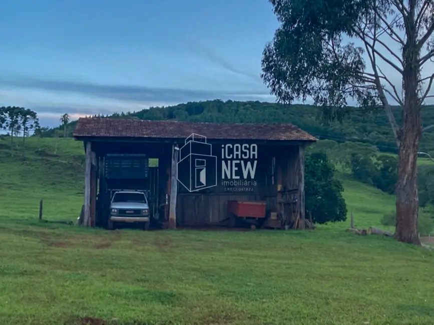 Foto 3 de Fazenda / Haras à venda, 90m2 em Goioxim - PR