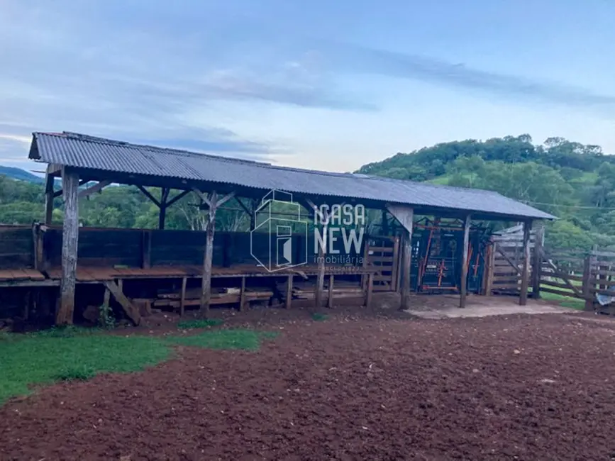 Foto 9 de Fazenda / Haras à venda, 90m2 em Goioxim - PR