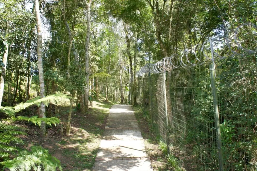 Terreno / Lote à venda, 42m2 em Águas Claras, Campo Largo - PR - imagem 8 Foto 8 de Terreno / Lote à venda, 42m2 em Águas Claras, Campo Largo - PR