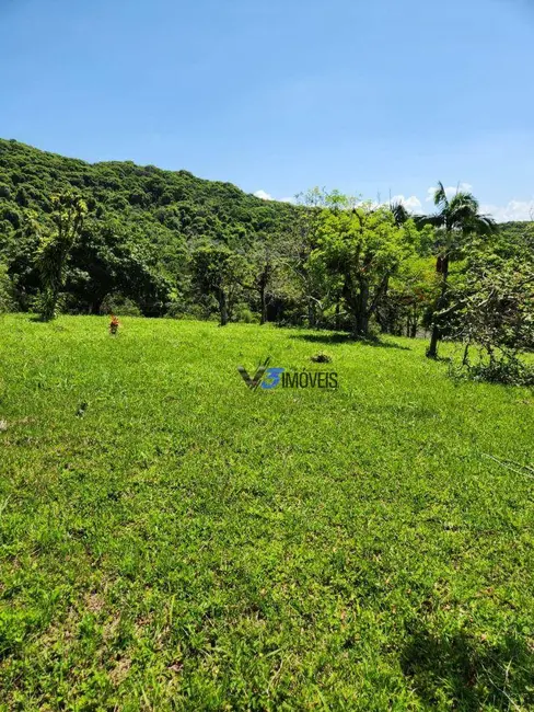 Chácara com 3 quartos à venda, 46051m2 em Paranagua - PR - imagem 7 Foto 7 de Chácara com 3 quartos à venda, 46051m2 em Paranagua - PR