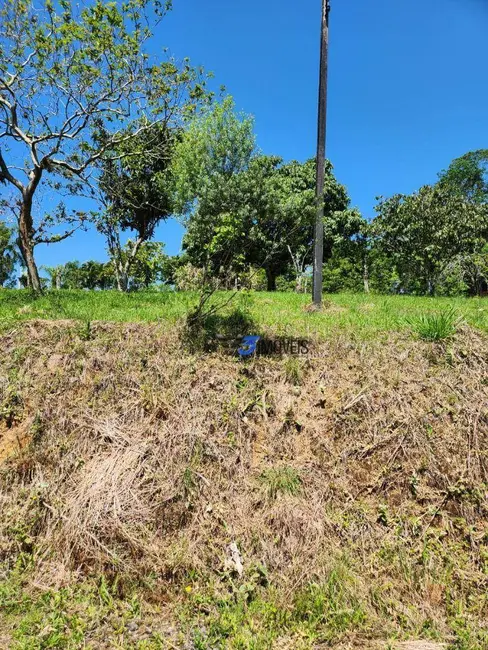 Chácara com 3 quartos à venda, 46051m2 em Paranagua - PR - imagem 5 Foto 5 de Chácara com 3 quartos à venda, 46051m2 em Paranagua - PR