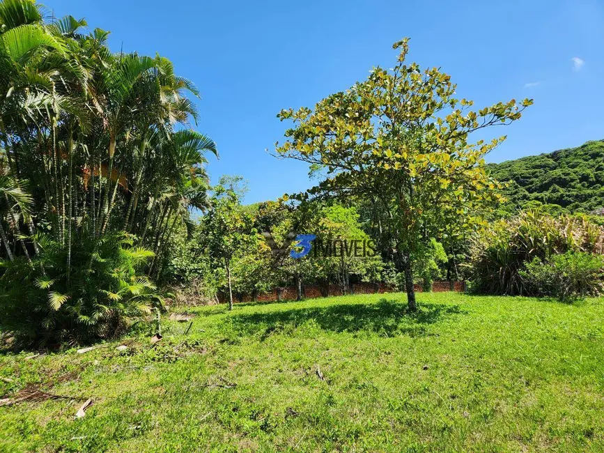 Chácara com 3 quartos à venda, 46051m2 em Paranagua - PR - imagem 9 Foto 9 de Chácara com 3 quartos à venda, 46051m2 em Paranagua - PR