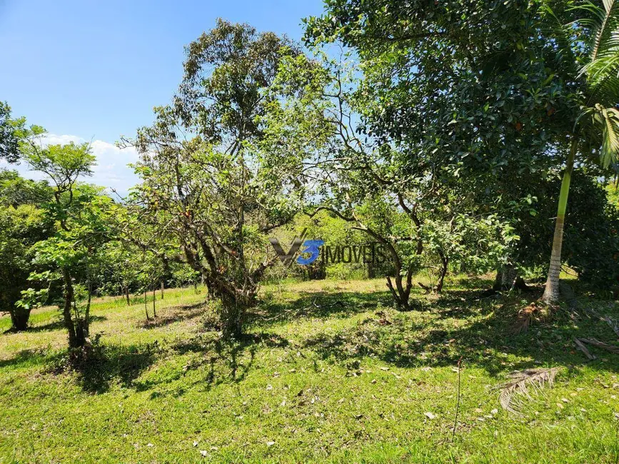 Chácara com 3 quartos à venda, 46051m2 em Paranagua - PR - imagem 6 Foto 6 de Chácara com 3 quartos à venda, 46051m2 em Paranagua - PR