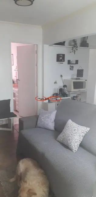 Apartamento com 2 quartos à venda, 46m2 em Artur Alvim, São Paulo - SP - imagem 4 Foto 4 de Apartamento com 2 quartos à venda, 46m2 em Artur Alvim, São Paulo - SP