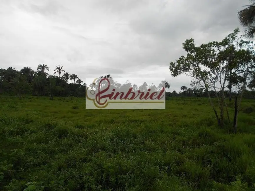 Foto 2 de Fazenda / Haras à venda, 552m2 em Bonito De Minas - MG