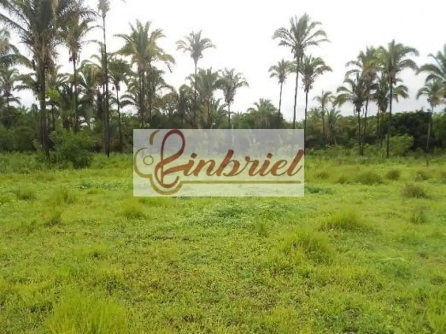 Foto 9 de Fazenda / Haras à venda, 552m2 em Bonito De Minas - MG