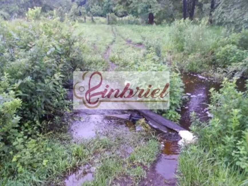 Foto 4 de Fazenda / Haras à venda, 552m2 em Bonito De Minas - MG