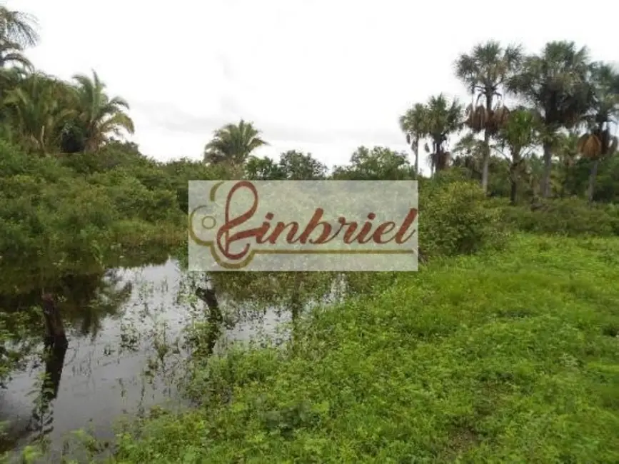 Foto 3 de Fazenda / Haras à venda, 552m2 em Bonito De Minas - MG