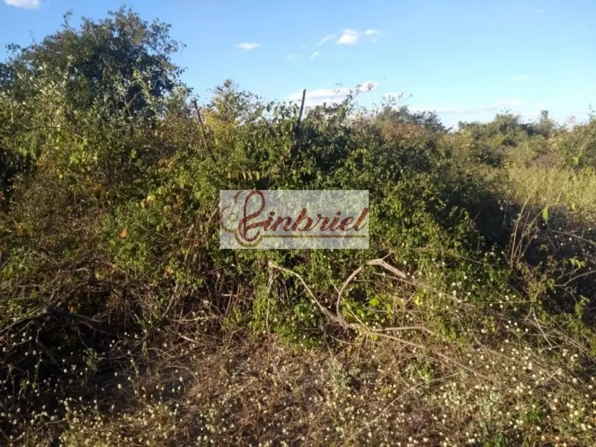 Foto 5 de Fazenda / Haras à venda, 1800000m2 em Janauba - MG