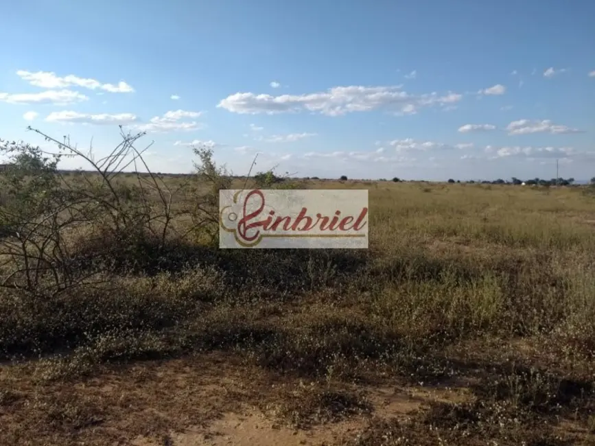 Foto 4 de Fazenda / Haras à venda, 1800000m2 em Janauba - MG