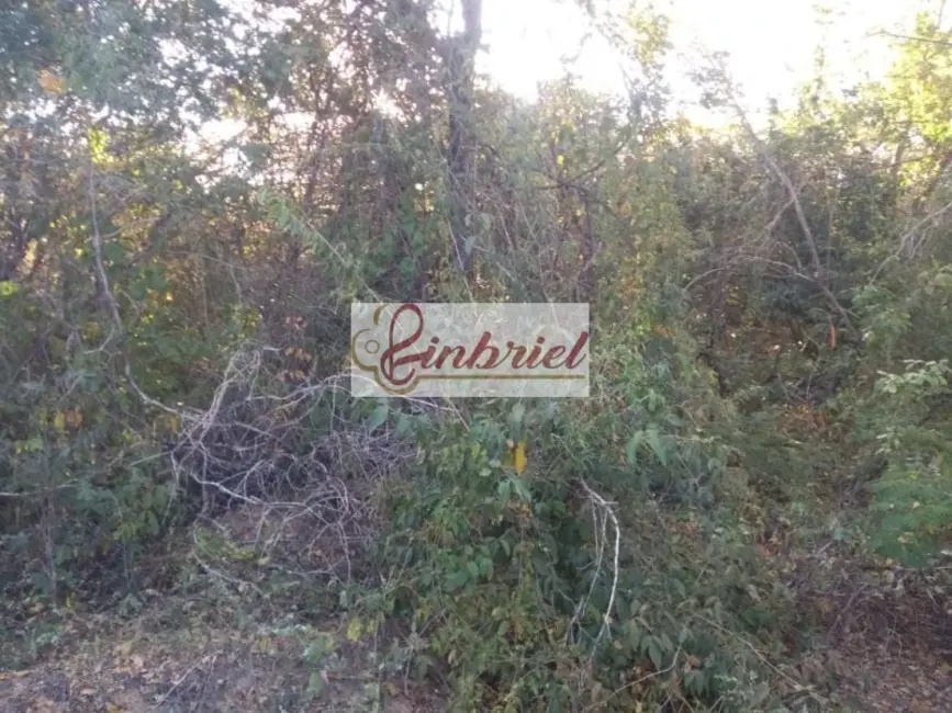 Foto 7 de Fazenda / Haras à venda, 1800000m2 em Janauba - MG