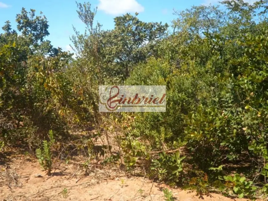 Foto 7 de Fazenda / Haras à venda, 28896m2 em Bonito De Minas - MG