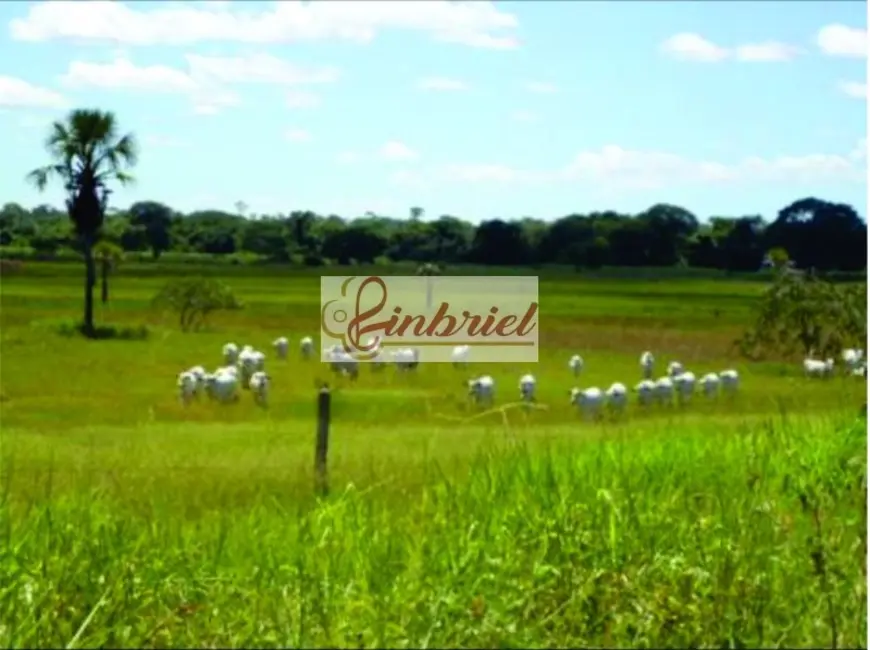 Foto 3 de Fazenda / Haras à venda, 1350m2 em Ibiai - MG