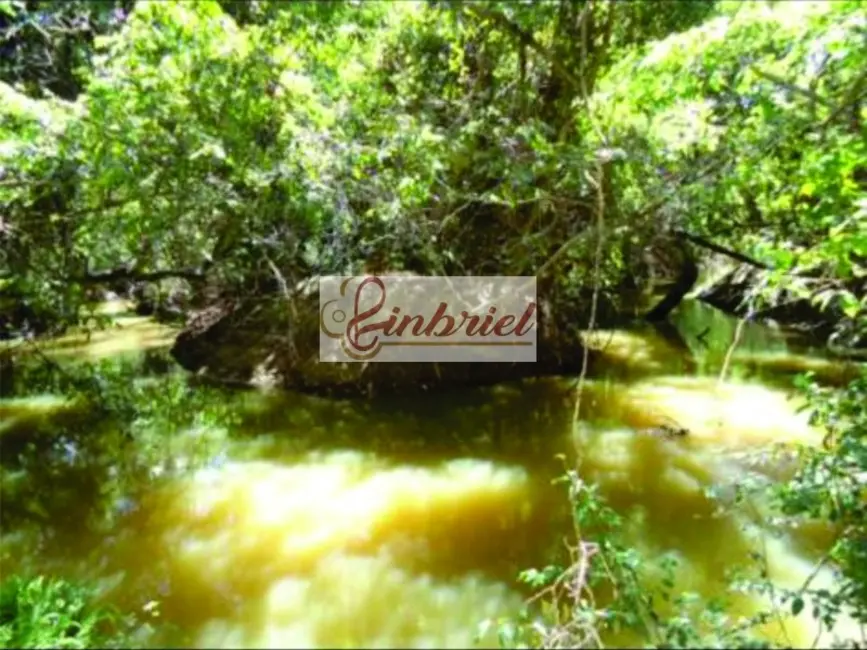 Foto 12 de Fazenda / Haras à venda, 1350m2 em Ibiai - MG