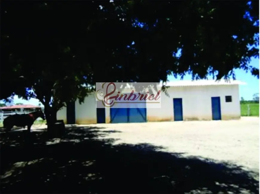 Foto 15 de Fazenda / Haras à venda, 1350m2 em Ibiai - MG
