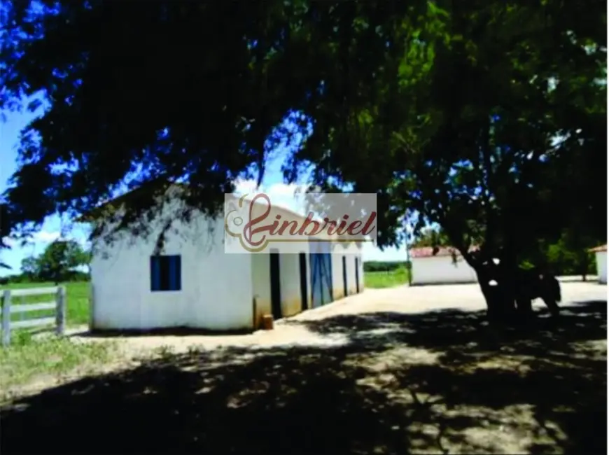 Foto 7 de Fazenda / Haras à venda, 1350m2 em Ibiai - MG