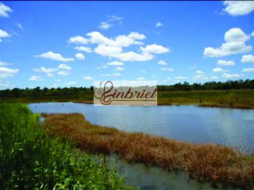 Foto 5 de Fazenda / Haras à venda, 1350m2 em Ibiai - MG