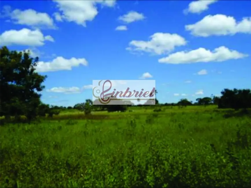 Foto 14 de Fazenda / Haras à venda, 1350m2 em Ibiai - MG