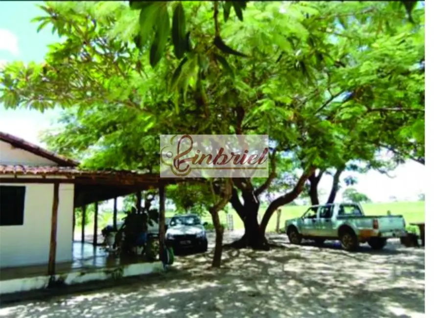 Foto 2 de Fazenda / Haras à venda, 1350m2 em Ibiai - MG