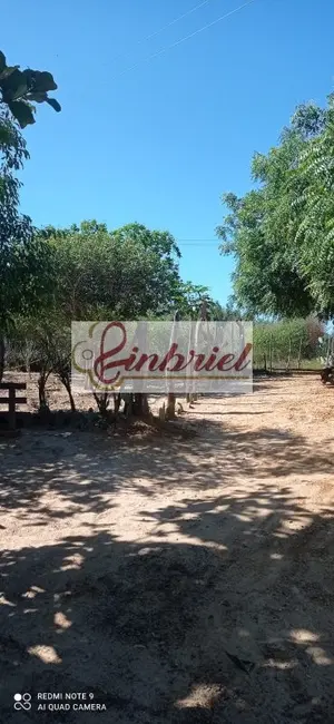 Foto 7 de Fazenda / Haras à venda, 125m2 em Jaiba - MG