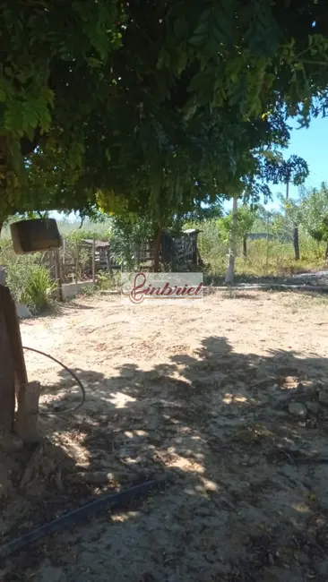 Foto 6 de Fazenda / Haras à venda, 125m2 em Jaiba - MG