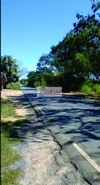Foto 5 de Fazenda / Haras à venda, 125m2 em Jaiba - MG