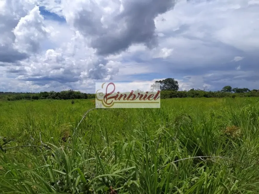 Foto 1 de Fazenda / Haras à venda, 467m2 em Buritizeiro - MG