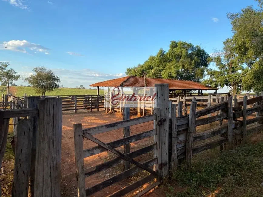 Foto 5 de Fazenda / Haras à venda, 420m2 em Montes Claros - MG