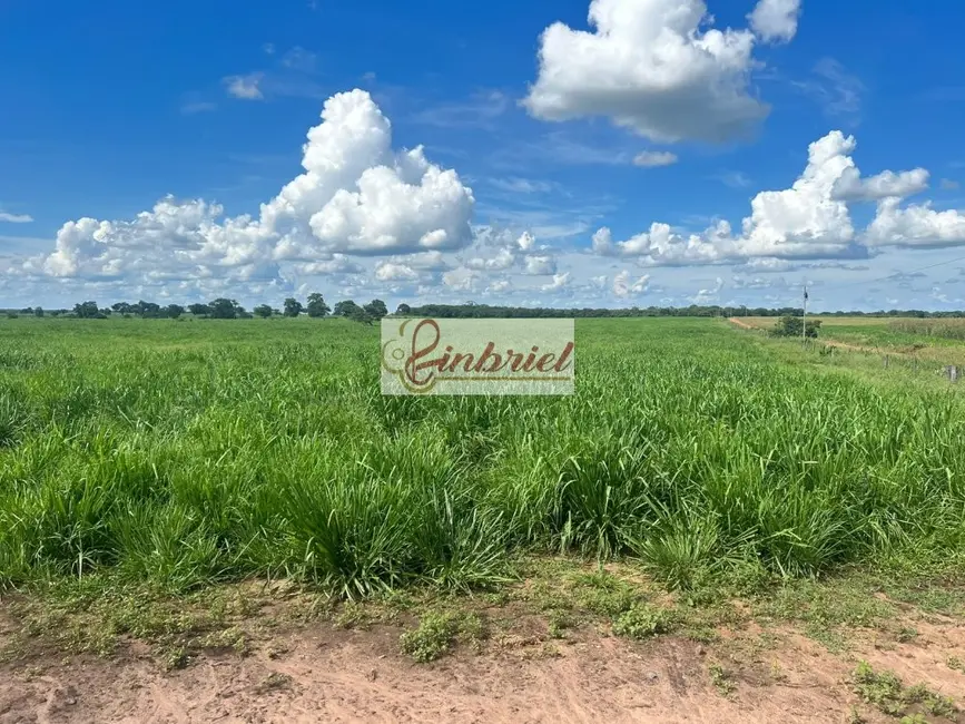 Foto 4 de Fazenda / Haras à venda, 420m2 em Montes Claros - MG