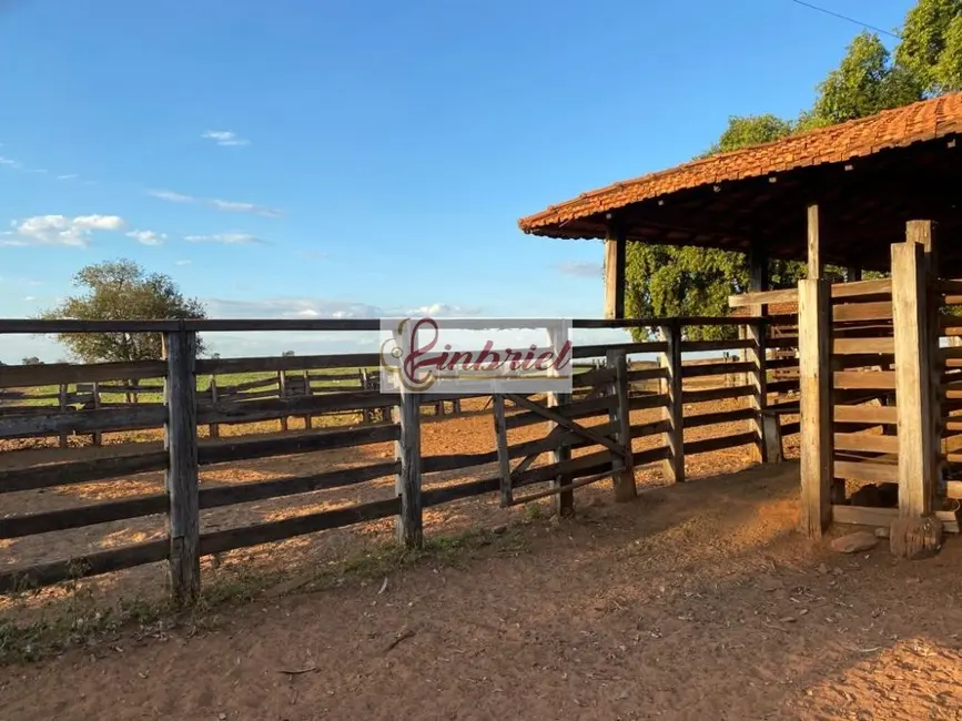 Foto 9 de Fazenda / Haras à venda, 420m2 em Montes Claros - MG