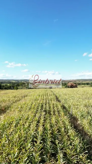 Foto 4 de Fazenda / Haras à venda, 570m2 em Capitao Eneas - MG