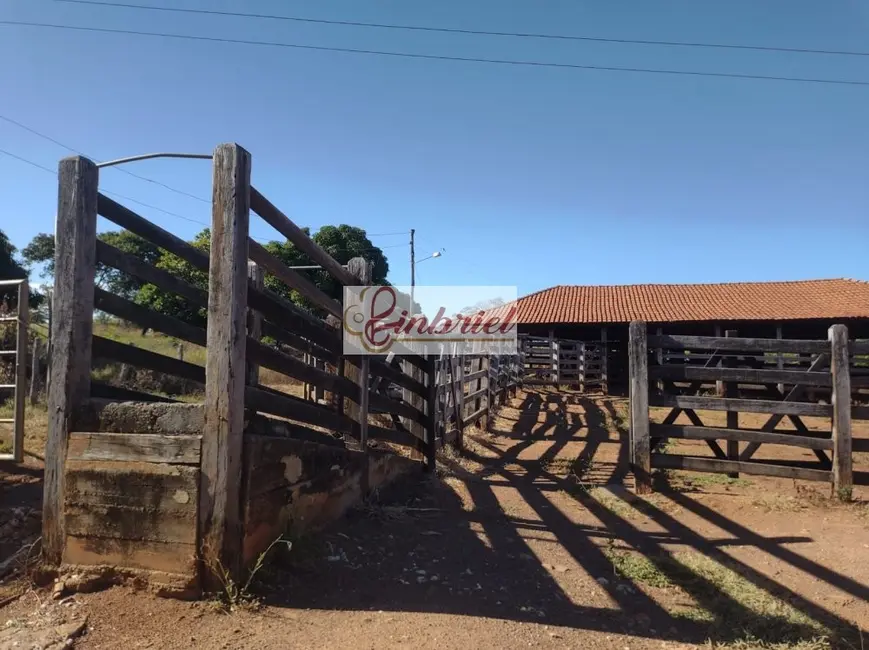 Foto 9 de Fazenda / Haras à venda, 470m2 em Janauba - MG