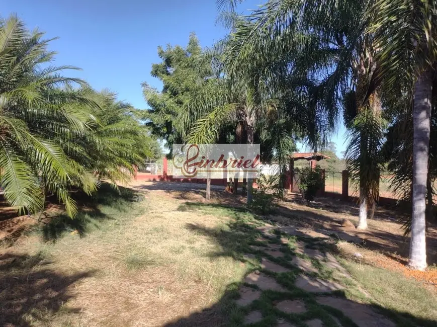 Foto 3 de Fazenda / Haras à venda, 470m2 em Janauba - MG