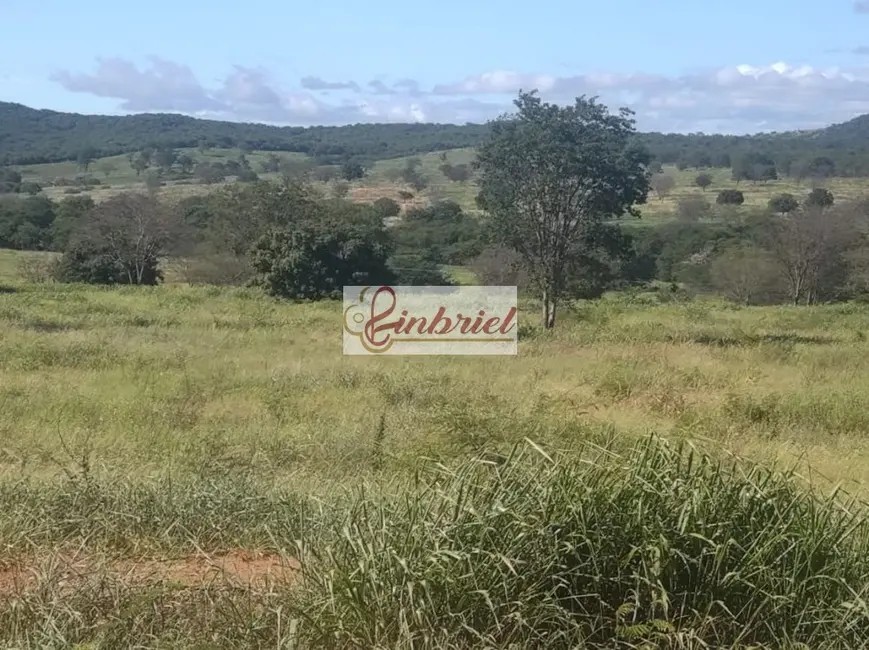 Foto 7 de Fazenda / Haras à venda, 470m2 em Janauba - MG