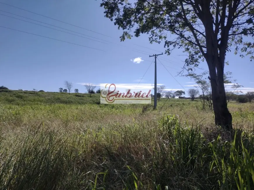 Foto 5 de Fazenda / Haras à venda, 470m2 em Janauba - MG