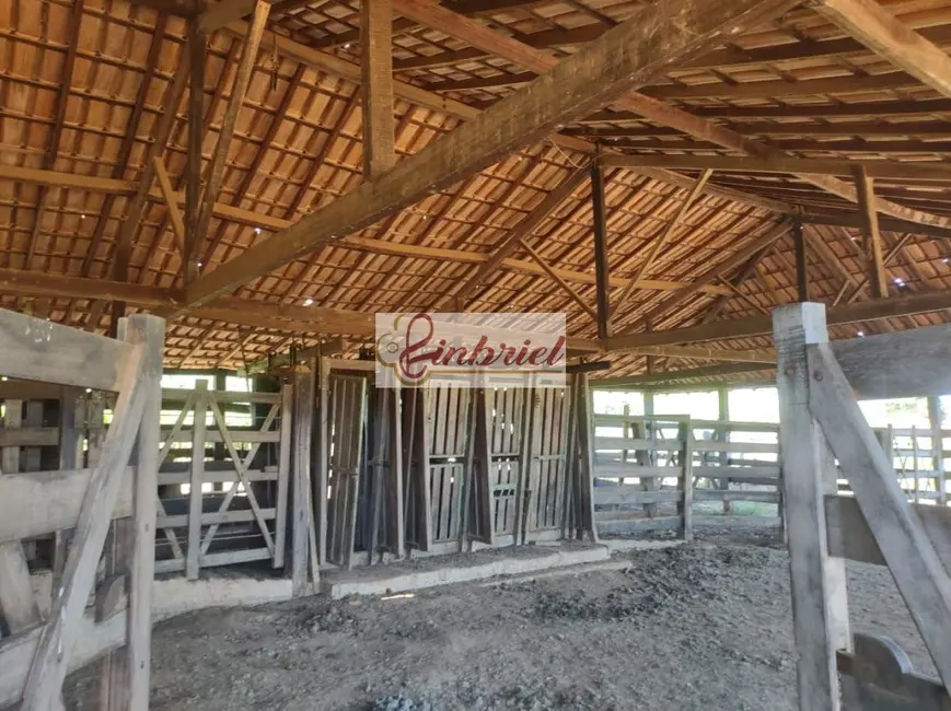Foto 1 de Fazenda / Haras à venda, 470m2 em Janauba - MG